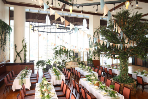 ベニーレベニーレ